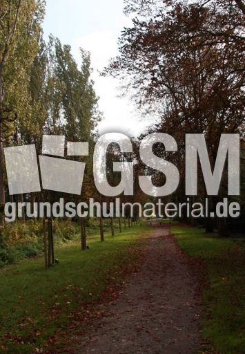 B-Herbststimmung 030.jpg